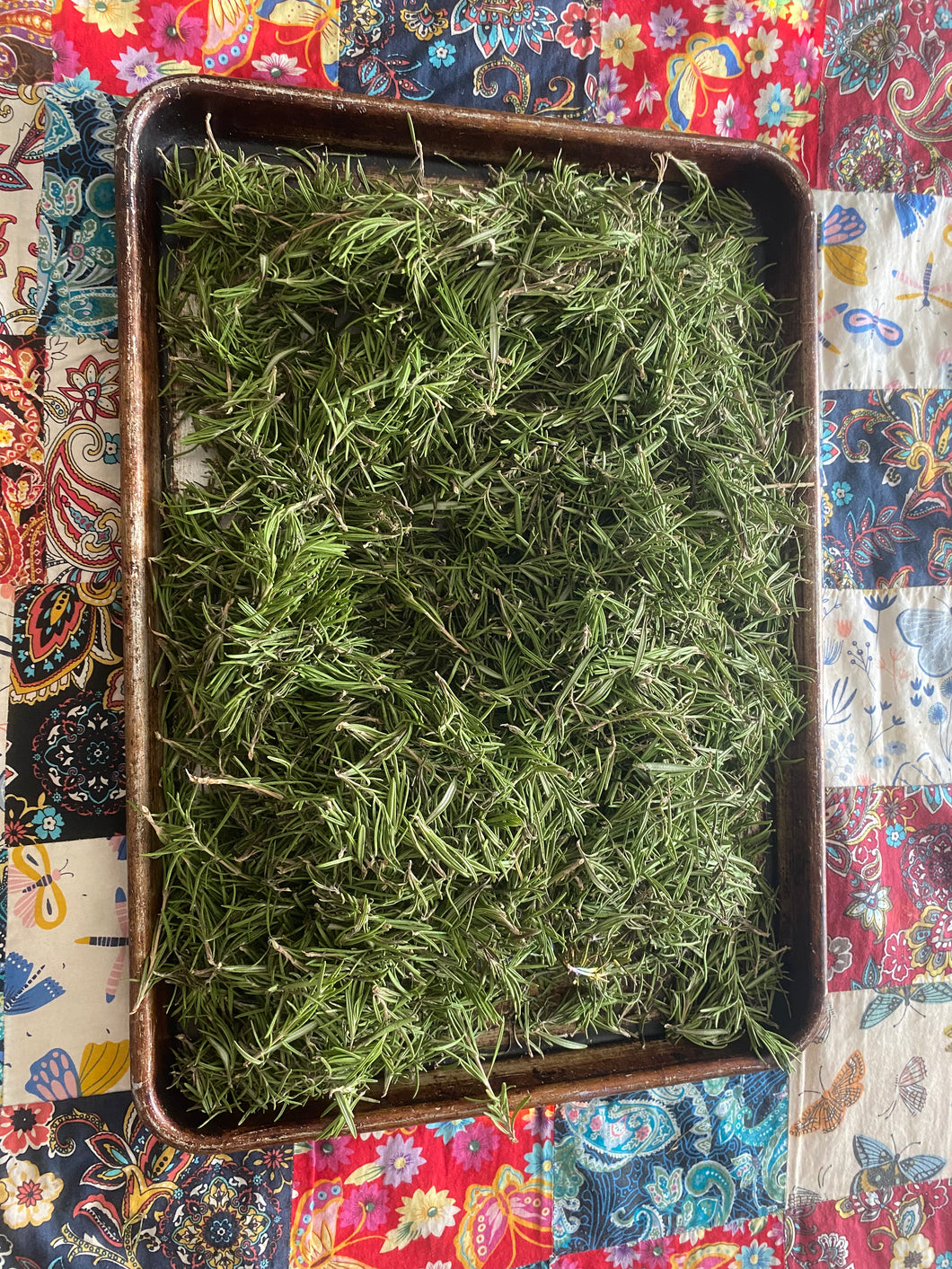 Dried rosemary